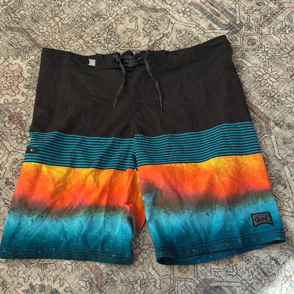 Quiksilver Men's Multicolor Swim Shorts